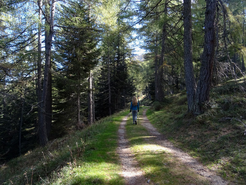 Catena dei Lagorai...da Pergine al Passo del Manghen